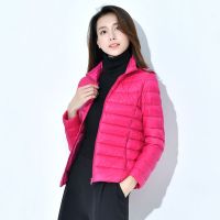 北极绒轻薄保暖羽绒服女短款立领时尚韩版修身2019冬大码女装外套羽绒外衣aL50W