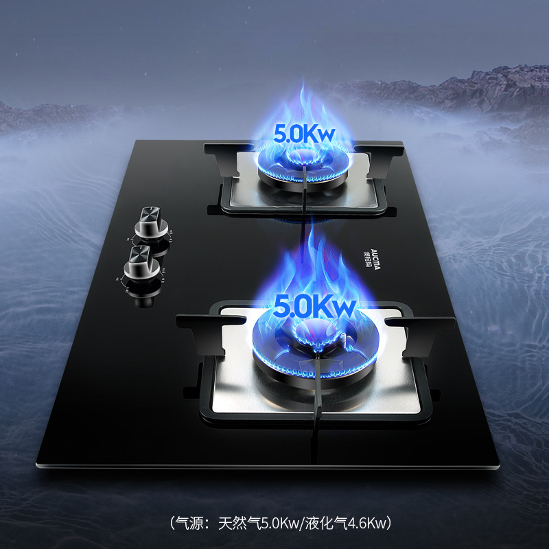 澳柯玛(AUCMA)燃气灶液化气天然气双灶5.0KW大火力煤气灶具台嵌两用一级能效灶台 3D021B[天然气]