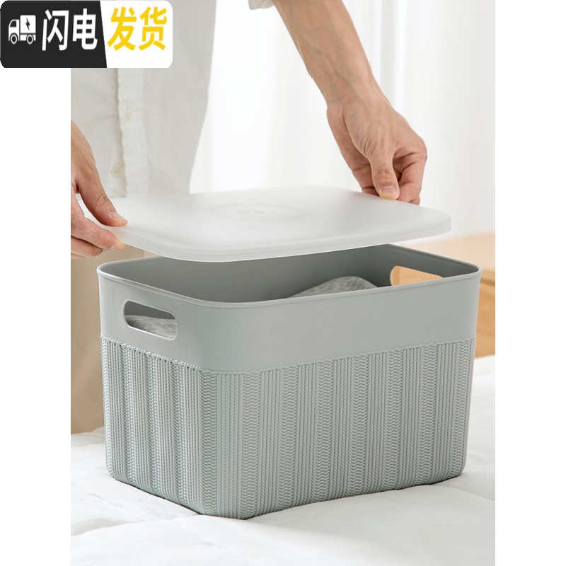 三维工匠 手提带盖收纳篮塑料桌面收纳筐 杂物零食篮子置物篮收纳箱高清大图
