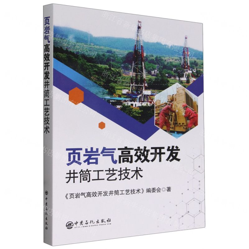 【N】页岩气高效开发井筒工艺技术-9787511473387