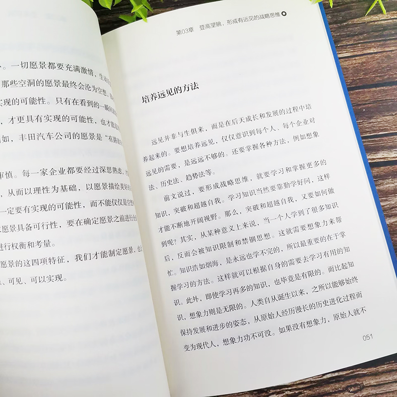 [正版] 战略思维 吴大有编著 改变思维 转化战略 看清未来 把握机会 提升自己的洞察力 解读8种战略之道 心理学与脑高清大图