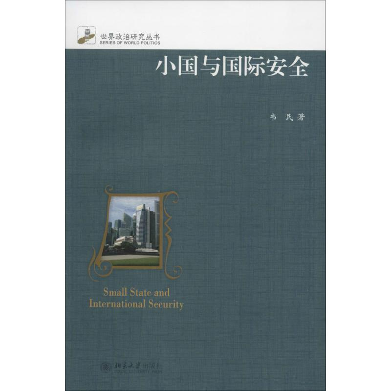 醉染图书小国与国际安全9787301266052高清大图