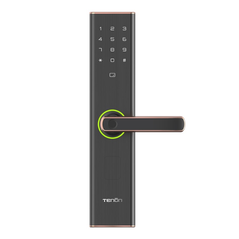 亚太天能(tenon)微信智能指纹锁家用指纹密码锁电子门锁a2c 幻影黑