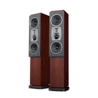 Hivi/惠威 rm600MKII 音箱一只 家庭影院家用音响套装客厅5.1木质音箱