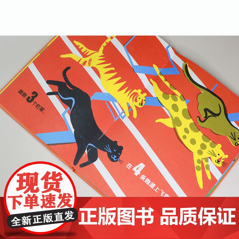 动物奥运会高清大图