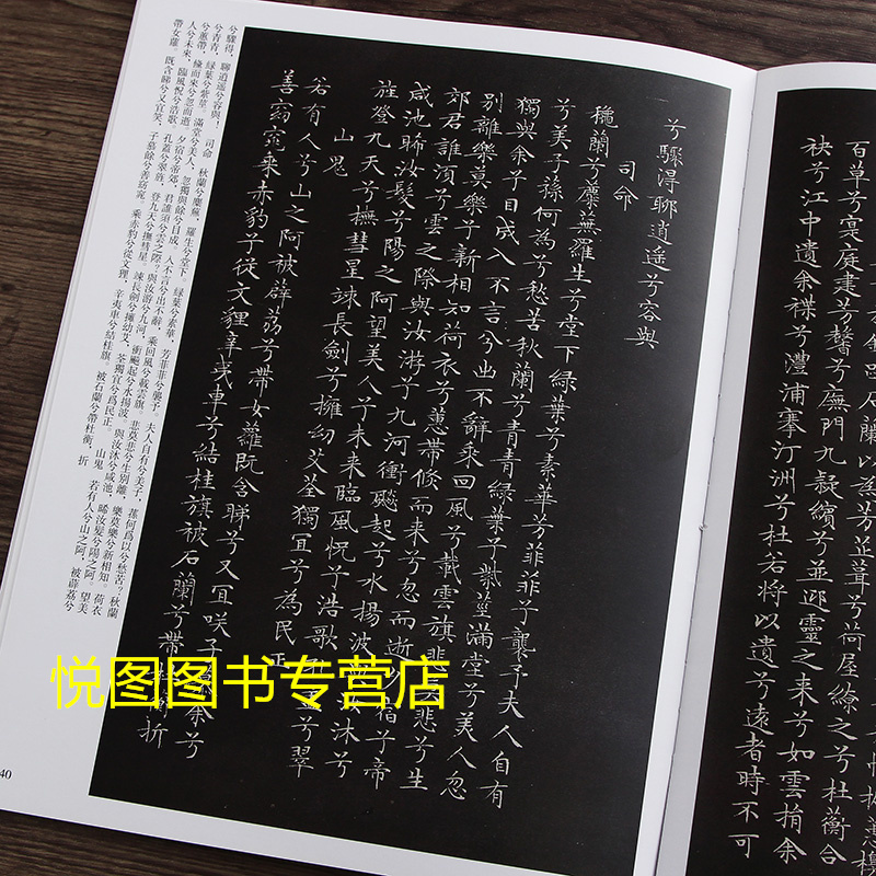 醉翁亭记前后赤壁赋岳阳楼记文徵明离骚经九歌卷南山十咏千字文>800