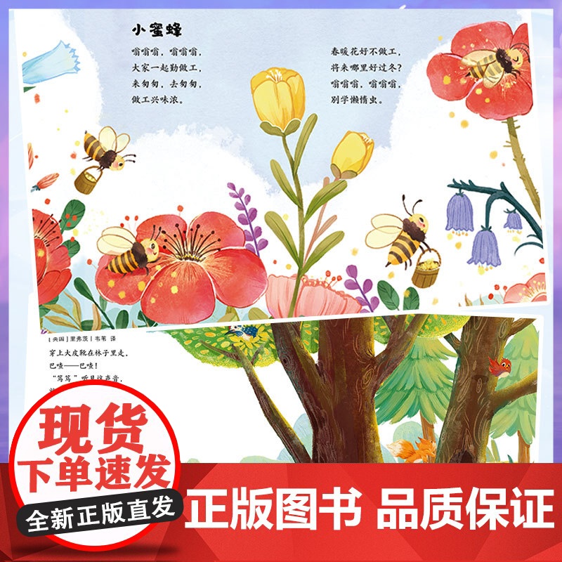 小象皮爱童谣高清大图