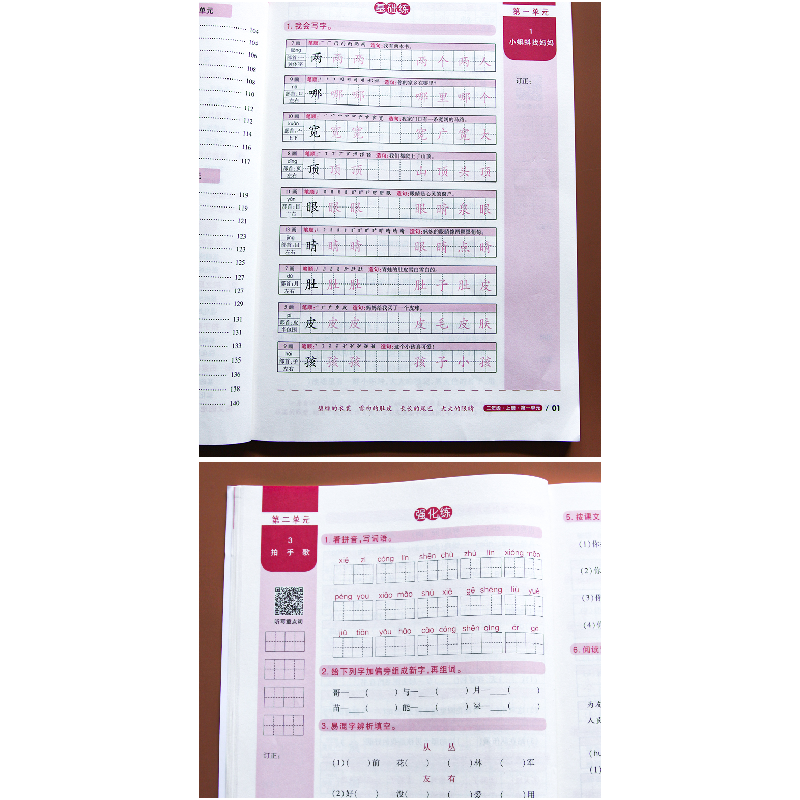 正版新书]字词句强化训练 2年级 上册王爱国 张俊9787512688612高清大图