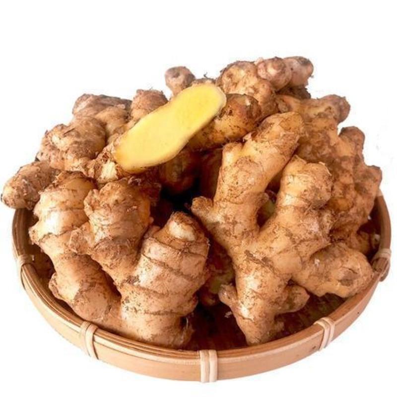 生姜批发老姜批发大黄姜新鲜月子姜山地1斤/5斤姜视频介绍_生姜批发老