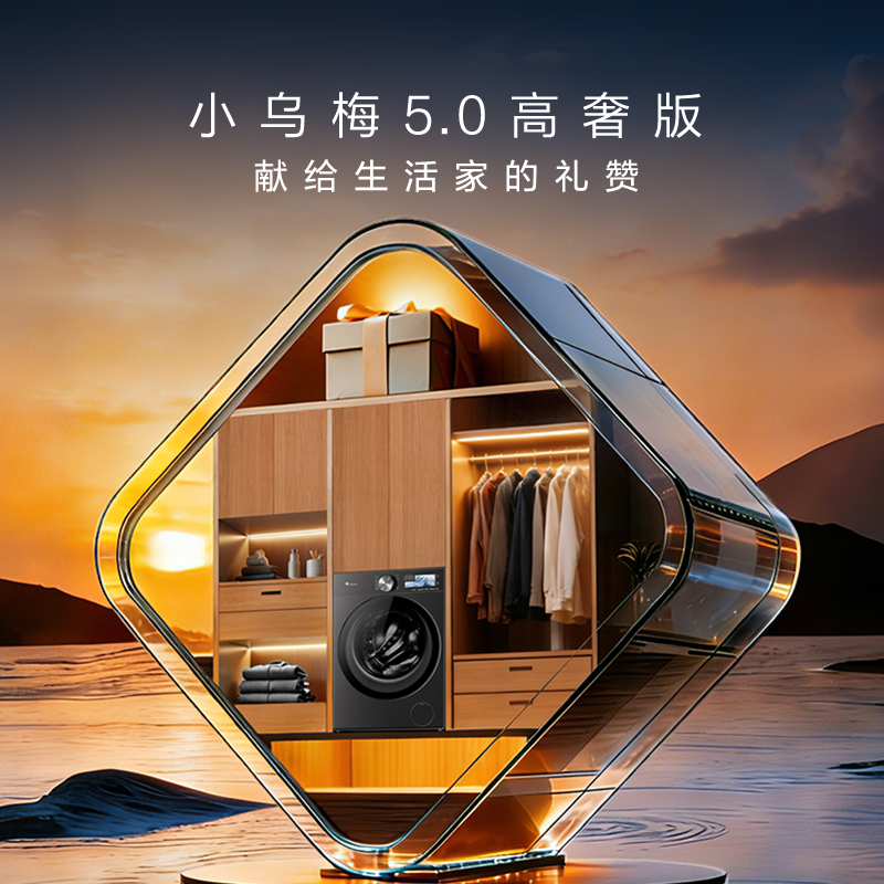 小天鹅(LittleSwan)小乌梅5.0高奢版 滚筒洗衣机全自动 12KG超大容量 TG12K60高清大图