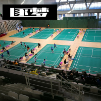 逐梦(zhumeng)羽毛球地胶 7.2mm
