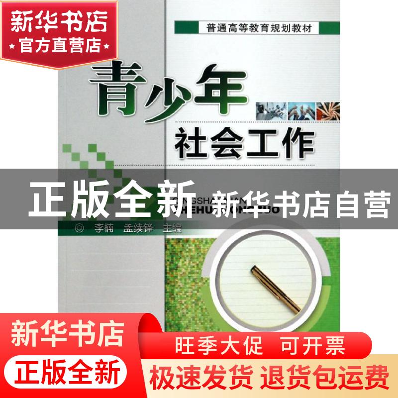 正版 青少年社会工作 李楠,孟续铎主编 机械工业出版社 97871114