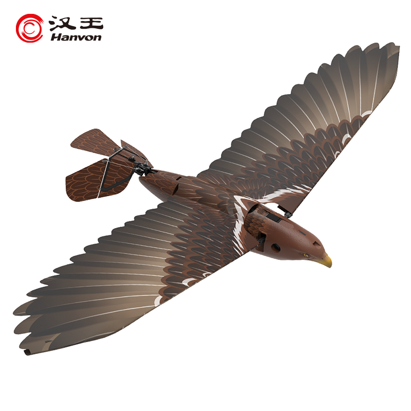 汉王(Hanvon) 仿翼白头鹰plus全套高清大图