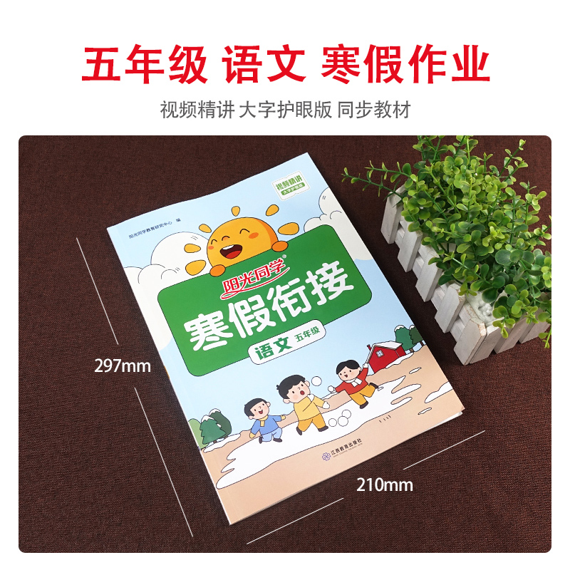 语文 人教版 小学五年级 [正版]新版 阳光同学寒假衔接五年级上册下册语数英全套人教版数学北师小学5年级寒假作业同步练习高清大图