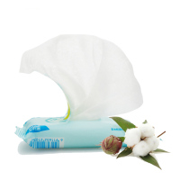 CROCO baby鳄鱼宝宝 婴儿护肤湿巾10片 母婴幼儿童随身手口屁屁护肤湿巾 不含酒精