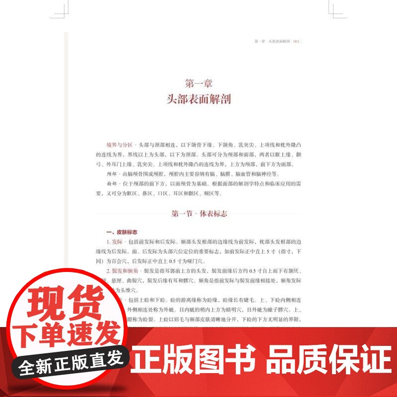 人体表面解剖图解 国海东牟芳芳主编上海科学技术出版社西医基础医学图书高清大图