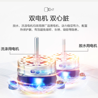 澳柯玛半自动洗衣机 大容量 洗衣双缸双桶洗衣机 8公斤半自动家用洗衣机洗衣桶 XPB80-8918S