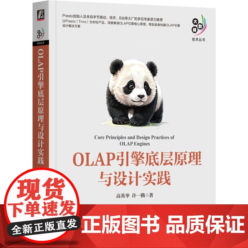 正版 OLAP引擎底层原理与设计实践 高英举 许一腾 数据库 数据分析 大数据 数据架构 分布式计算 即席查询 联高清大图