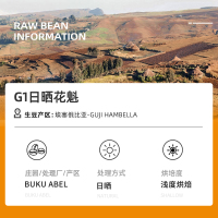 DGTOP日晒G1花魁咖啡豆手冲精品阿拉比卡咖啡豆100g/罐装单一产地埃塞浅烘新鲜烘焙