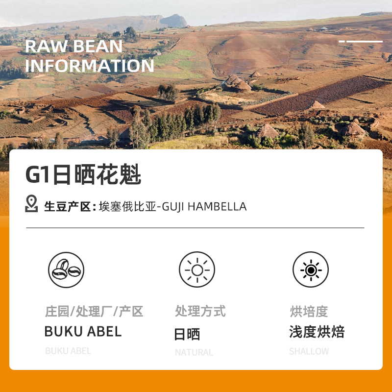 DGTOP日晒G1花魁咖啡豆手冲精品阿拉比卡咖啡豆100g/罐装单一产地埃塞浅烘新鲜烘焙