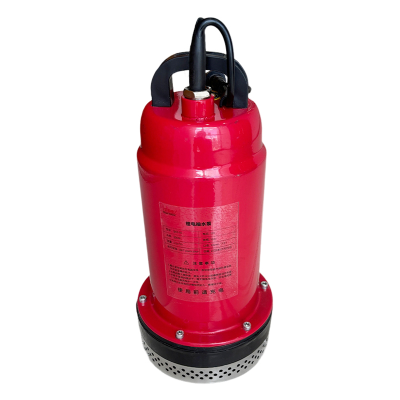 卫未来 锂电抽水泵 QN2-20 台高清大图