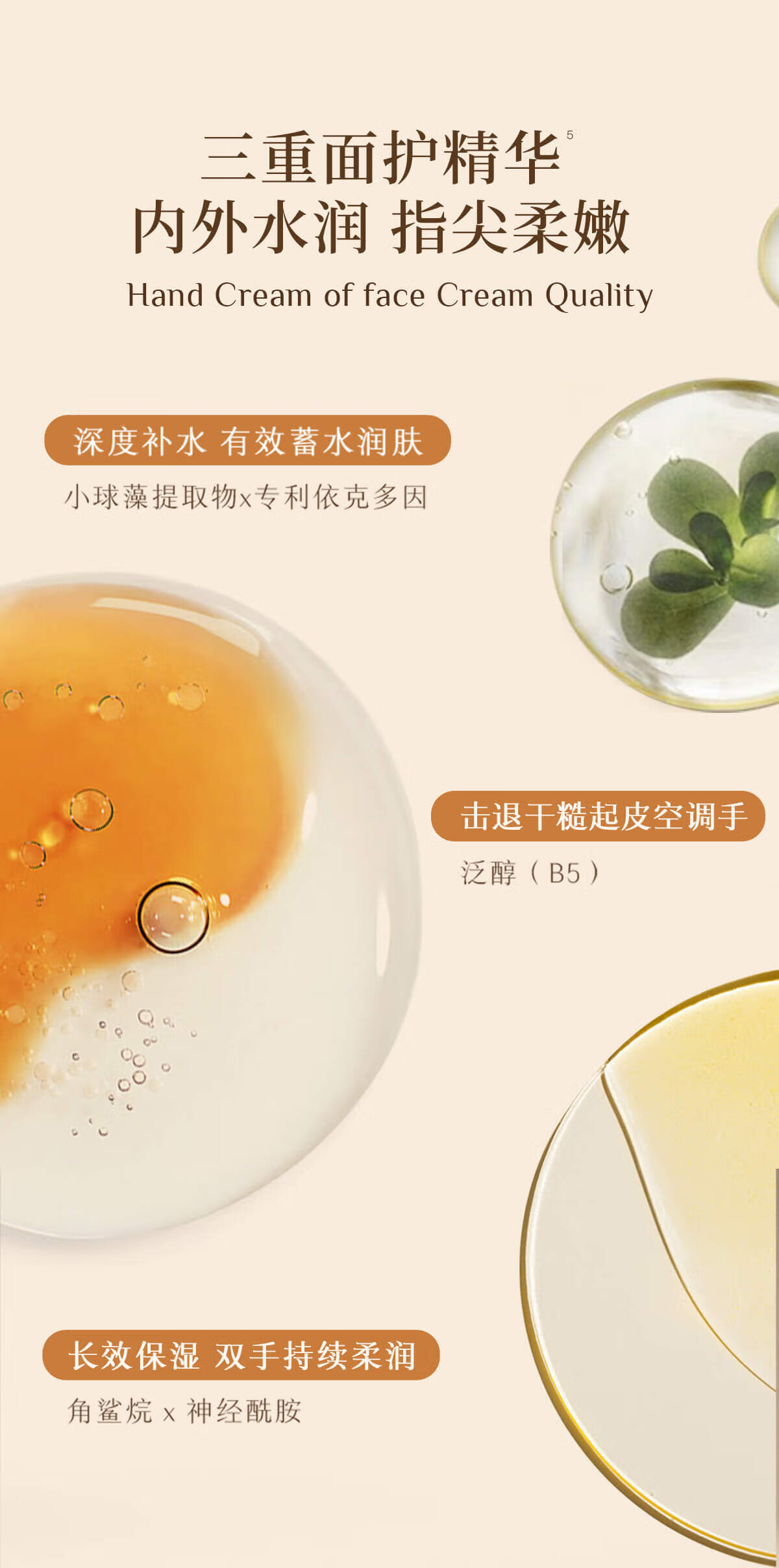 独特艾琳 香氛护手霜(布列塔尼-中性白茶香)35ml高清大图