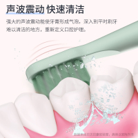 贝贝康(BBKON)电动牙刷D-01-2 绿色 五档模式 声波震动 全身水洗 持久续航 15000转/分钟 高速震动