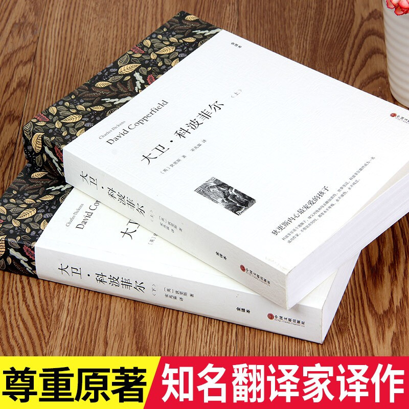 战争与和平(上下册) [正版]高一必读课外书大卫科波菲尔复活老人与海乡土中国红楼梦百年孤独高中必读名著新语文必读课外书世
