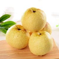 [西沛生鲜]新鲜砀山酥梨 5斤 单果250g+ 应当季整箱翠冠梨香酥雪梨青皮皇冠