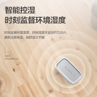 格力(GREE)除湿机静音低噪卧室客厅宿舍用可24H定时12L/天 2-20㎡ DH12EN