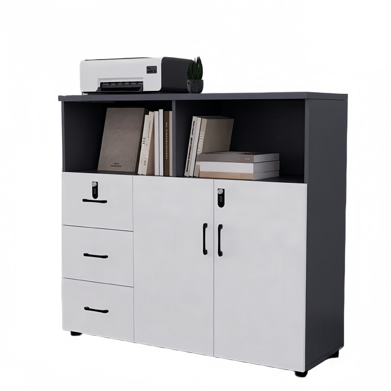 蕃蒂资料柜二门三抽台高清大图