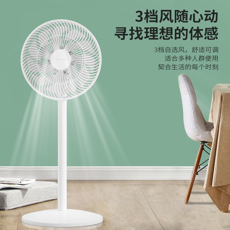 先锋(SINGFUN) 机械落地扇 FS30-23A高清大图
