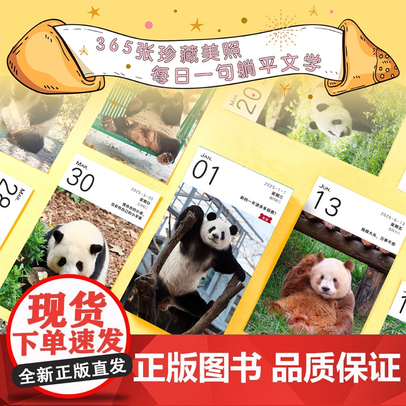 赠熊猫头挎包+冰箱贴]2025年熊猫日历大礼盒 今日宜 吸 熊猫 每日一句躺平文学 松弛感 可爱陪伴一整年 曾祥录写真高清大图
