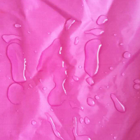 摩托车雨衣带后视镜位加大加厚双帽檐前透明车灯窗雨天骑行雨披紫色3XL