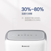 格力(GREE)除湿机静音低噪卧室客厅宿舍用可24H定时12L/天 2-20㎡ DH12EN