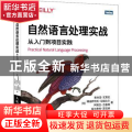 自然语言处理实战:从入门到项目实践