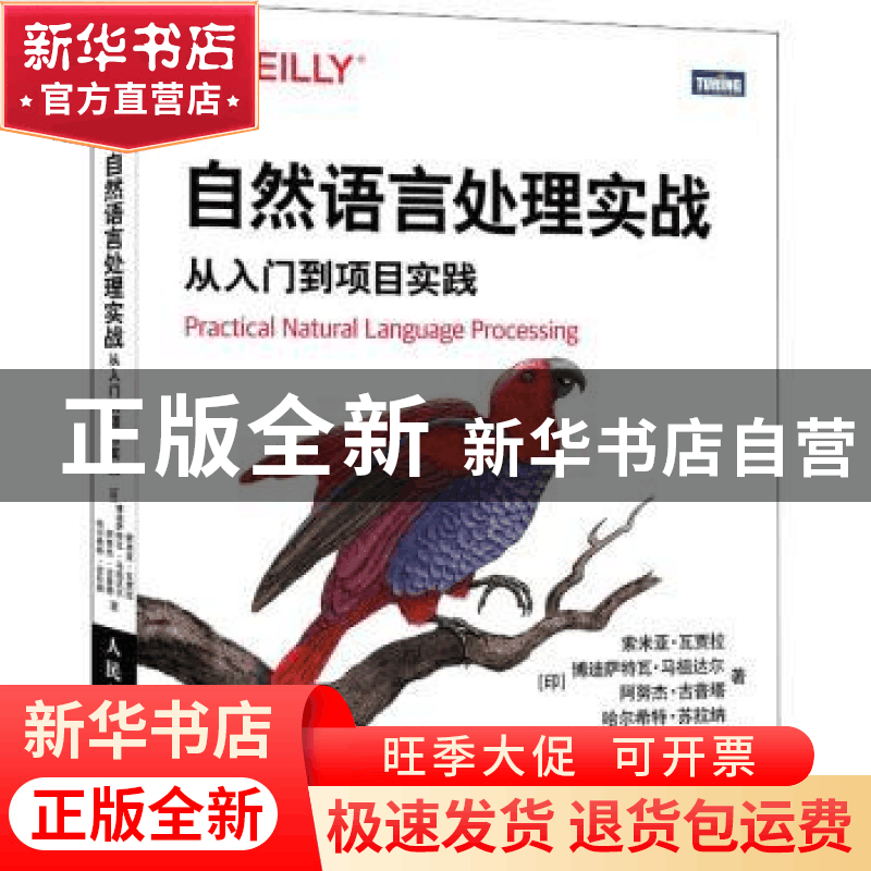 正版 自然语言处理实战:从入门到项目实践图片