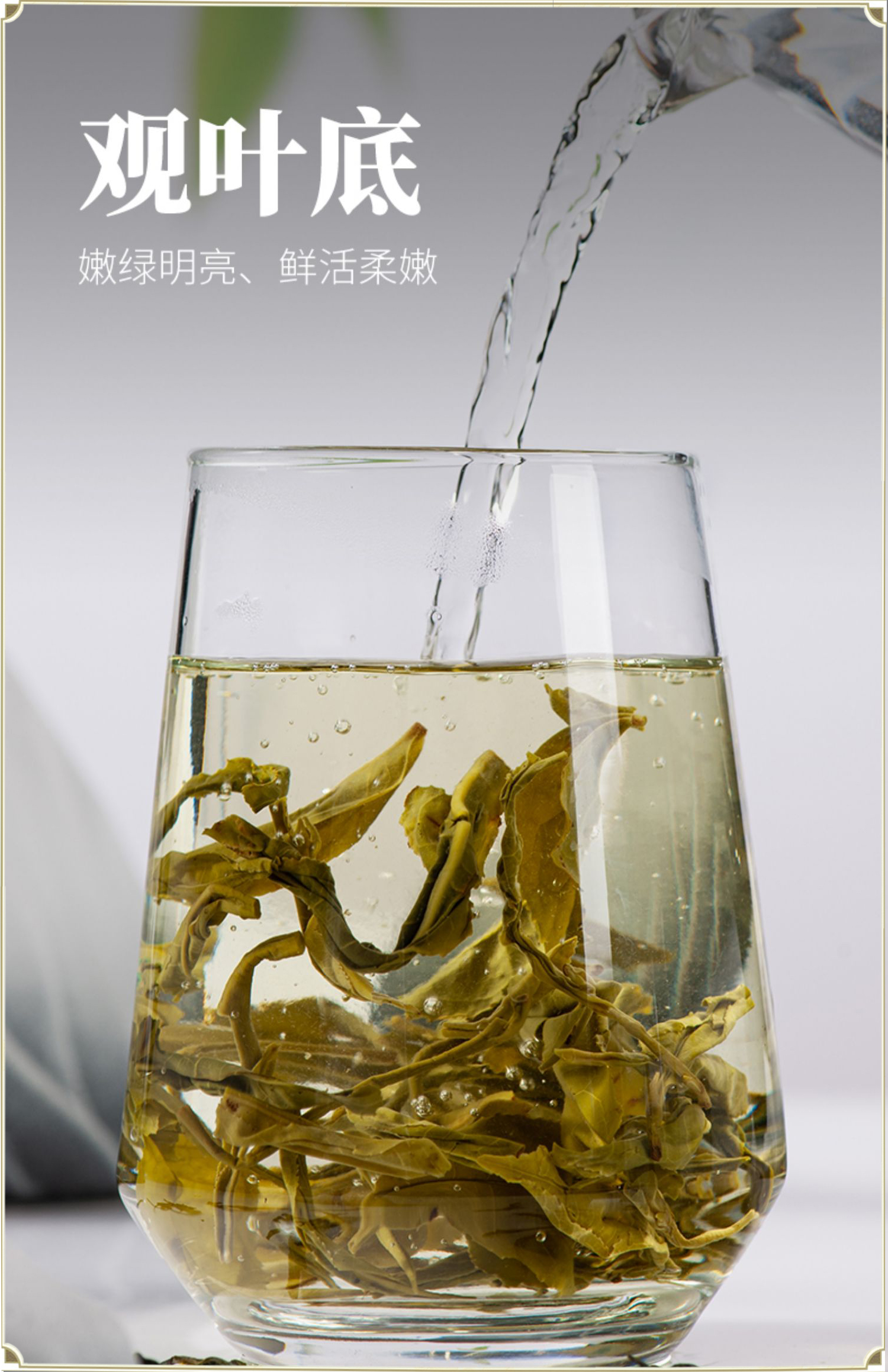 铭思达碧云仙滇绿茶高清大图