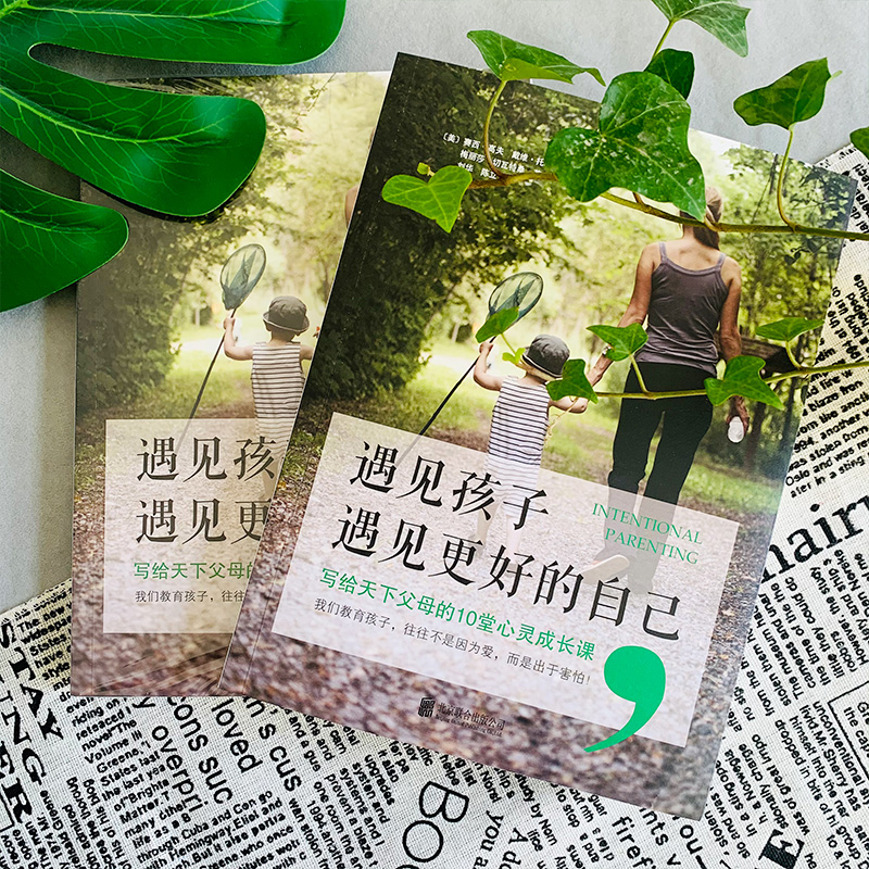 [正版]遇见孩子遇见更好的自己0~12岁儿童心理学教育书给孩子一个好性格如何正面管教亲子关系家庭教育书籍写给天下母亲的高清大图