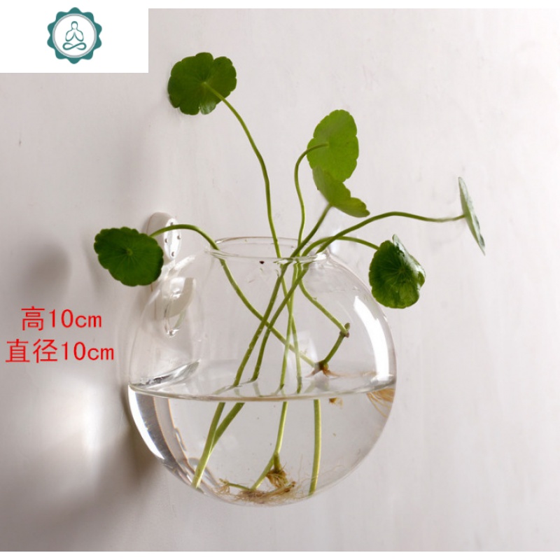 墙上玻璃花瓶水培挂创意玻璃小清新装饰玻璃瓶水养家居贴墙壁挂花封后圆饼形花瓶送无痕钉图片 高清实拍大图 苏宁易购