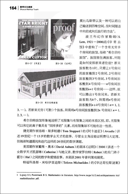 [正版]数学文化透视汪晓勤 数学科普读物科普综合自然科学数学原理微积分几何 数学历史思想方法精神关联 上海科学技术出版高清大图