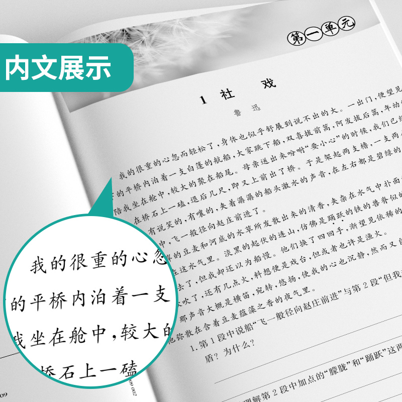 语文 八年级下 [正版]2025年春 初中语文实验班同步提优阅读与训练八年级语文下册人教版 春雨教育8年级下册RJ版阅读高清大图