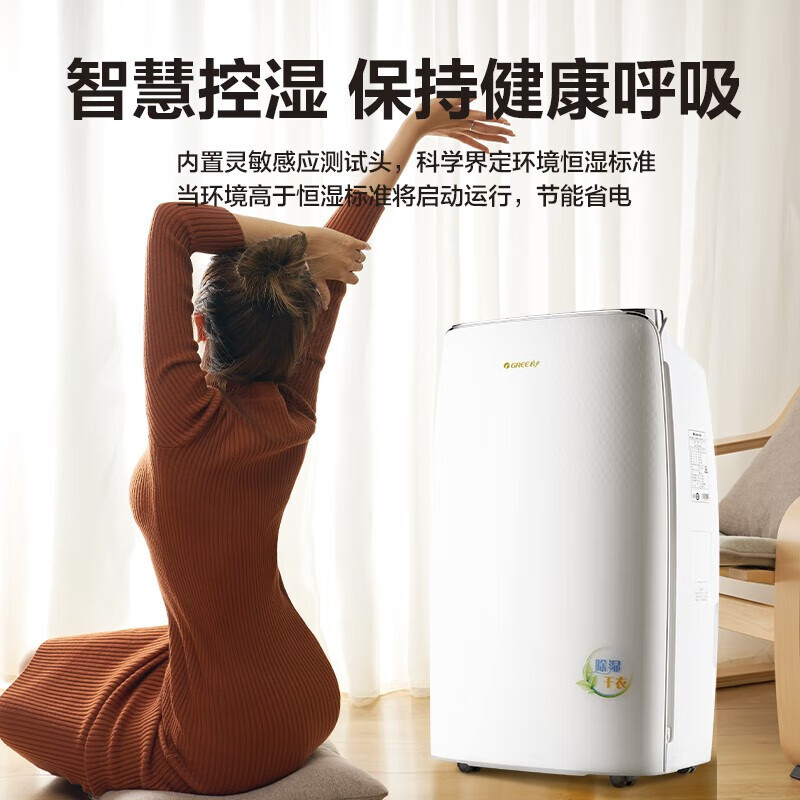 格力(GREE)抽湿机/除湿机 别墅家用卧室办公室低噪干衣除湿器20升/天 适用40平方米以内 智能数控(DH20EF)