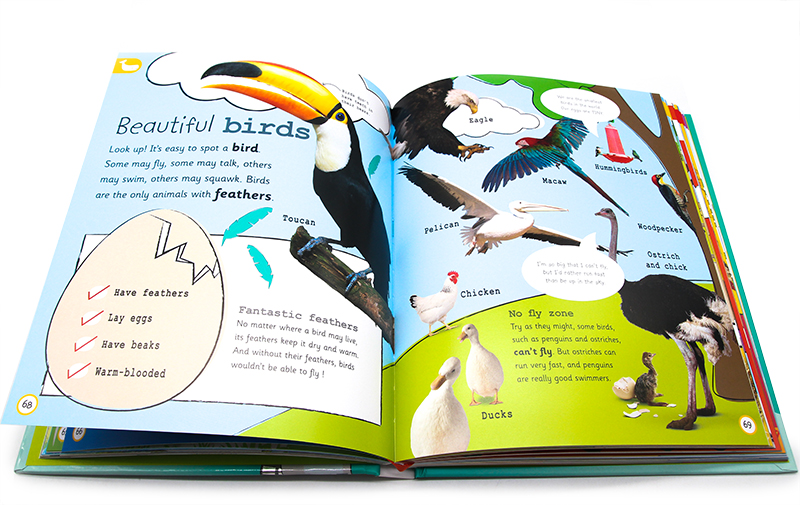 DK 重点小百科人体 [正版]DK出版 那些重要的事 My Encyclopedia of Very Important高清大图