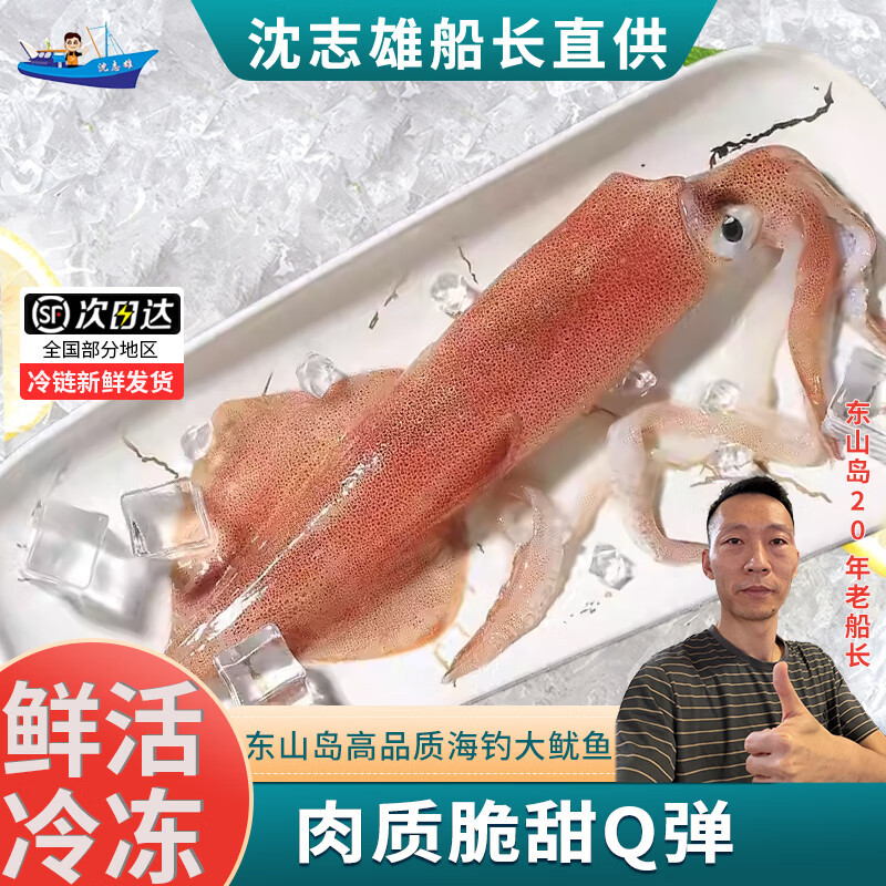 沈志雄 东山岛海鲜大鱿鱼海钓大管鲜活速冻 2-6条 共2斤