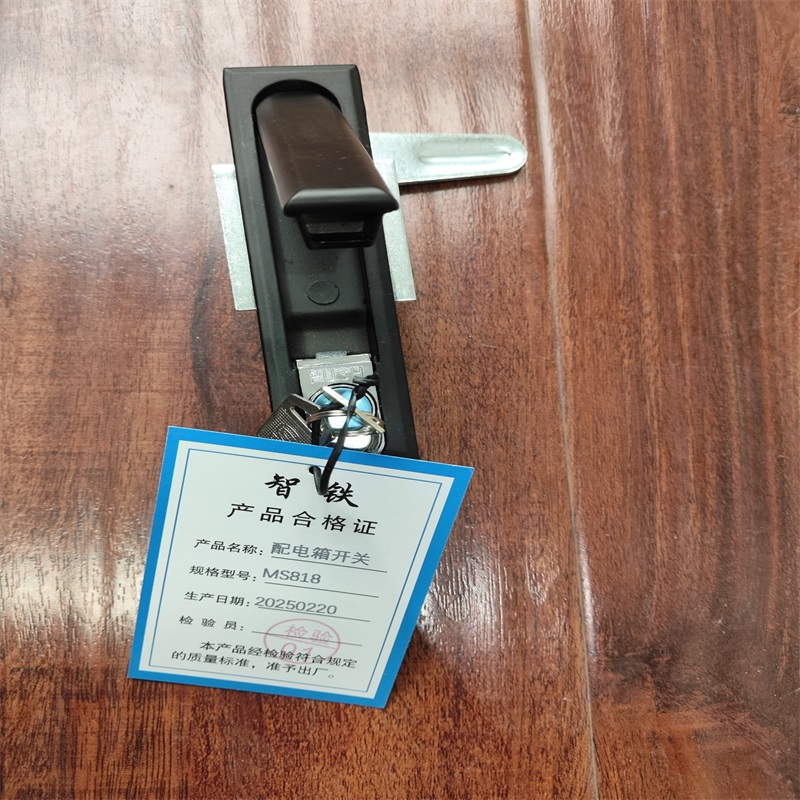 智铁 配电箱开关 MS818 个