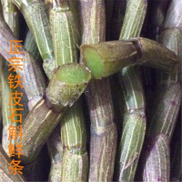新鲜铁皮石斛鲜条枫斗雁荡山仿野生种 满一斤或500克绿植 50g