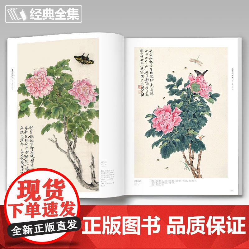 经典全集 于非闇工笔花鸟8开中国画临摹画册书籍近现代工笔画大师于非暗花卉花鸟技法教材高清册页牡丹图荷塘蜻蜓翠鸟图杨建飞主高清大图