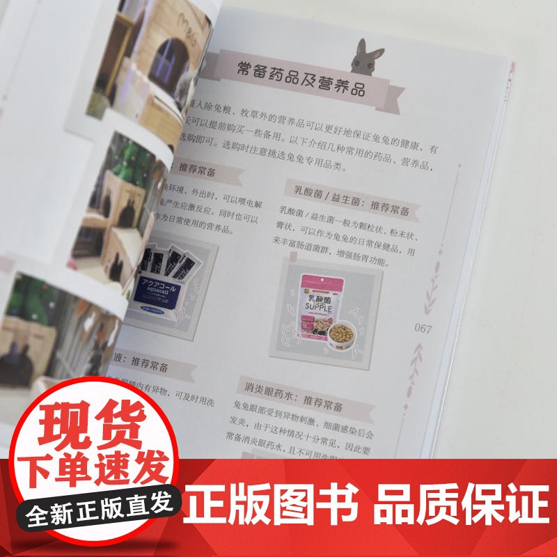*开始养兔兔 兔兔行为及养护指南 养兔手册 养兔子书籍 宠物兔饲养 兔兔子行为解读 新手养兔攻略高清大图