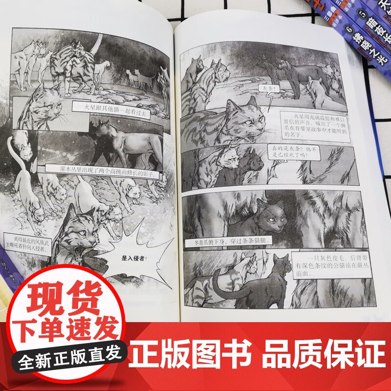 猫武士第一二三四五六七部曲全套42册传奇的猫族奇幻世界儿童奇幻成长中小学生动物小说6-12岁小学生课外阅读书1-2-3-高清大图